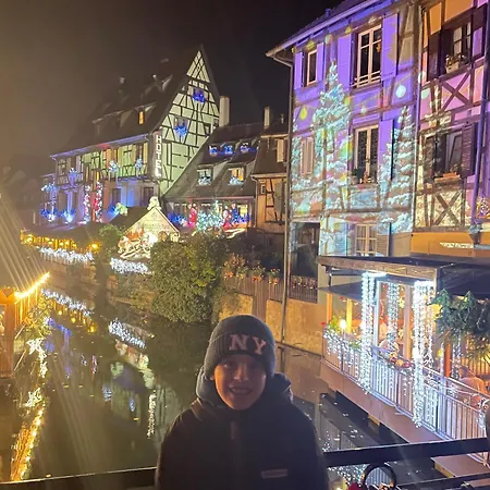 Cosy In Old Town 6 People Colmar